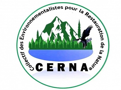 Logo du CERNA asbl