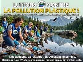 Image de collecte des déchets